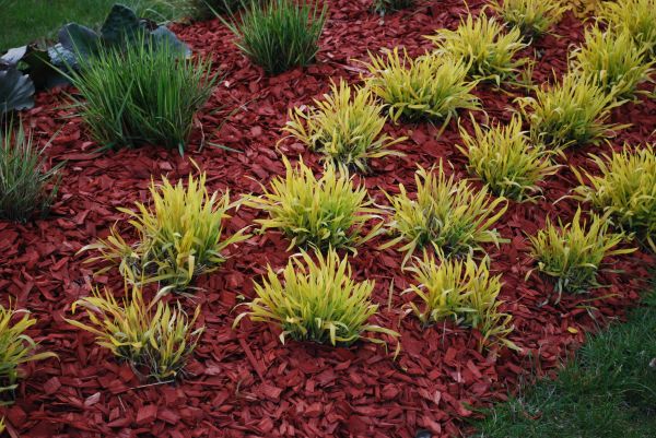 Red Mulch Installation in Tempe
