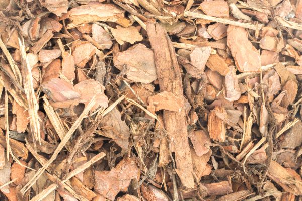 Bark Mulch Installation in Tempe