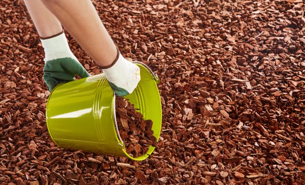 Wood Chip Landscaping in Tempe