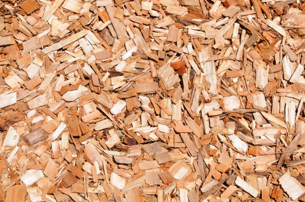 Cypress Mulch Spreading in Tempe