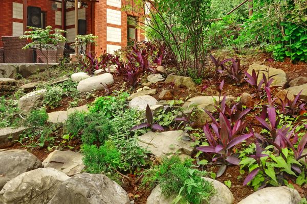 Rock Garden Landscaping in Tempe