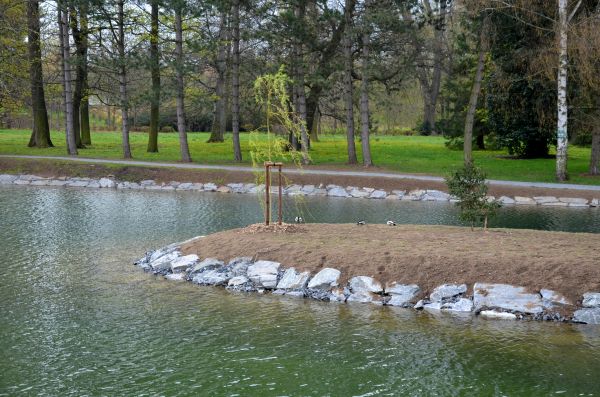 Pond Landscaping Service in Tempe