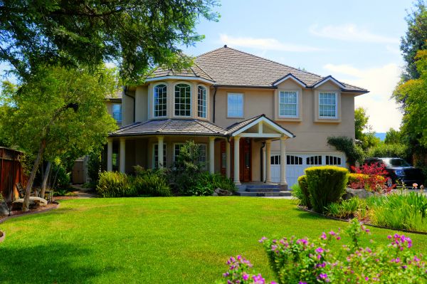 Large Yard Landscaping in Tempe