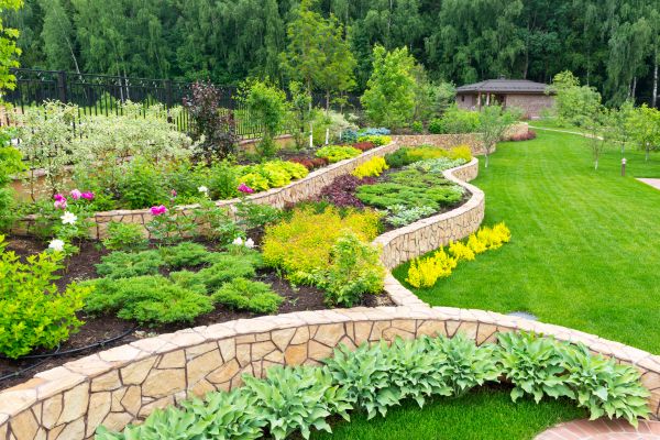 Home Garden Landscaping in Tempe