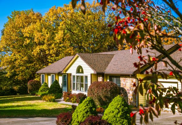 Ranch Landscaping in Tempe