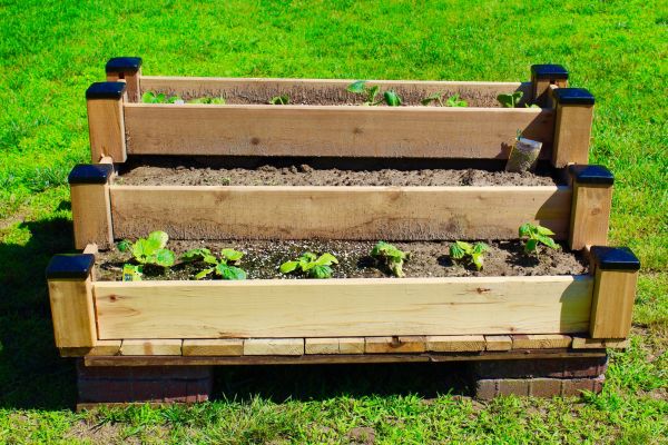 Raised Garden Bed Installation in Tempe
