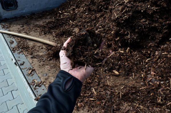 Condo Mulching in Tempe