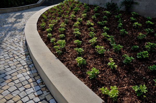 Commercial Mulching in Tempe