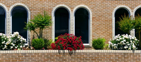 Church Landscaping in Tempe