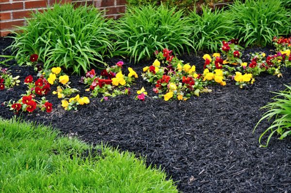Apartment Mulching in Tempe