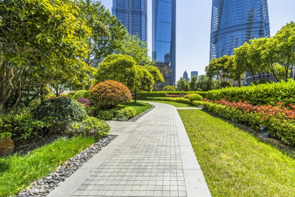 Commercial Landscaping in Tempe